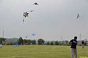 Parco San Giuliano  - 178